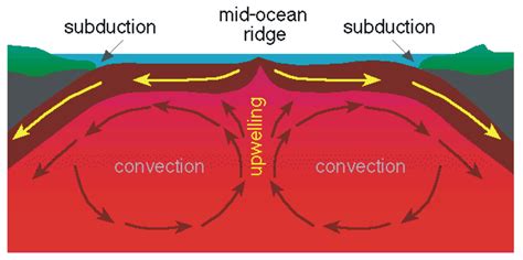 What Is Convection For Plate Tectonics